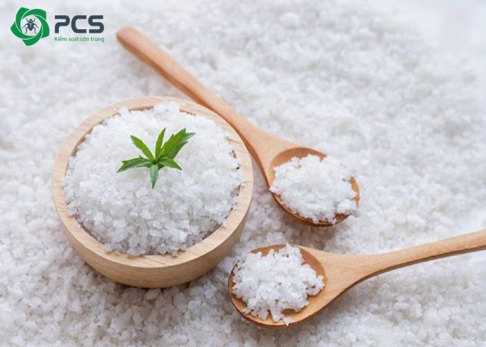 cách diệt kiến gió trên giường